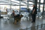 2018.05.10 - "Łap bandziora" - szkolenie psów policyjnych