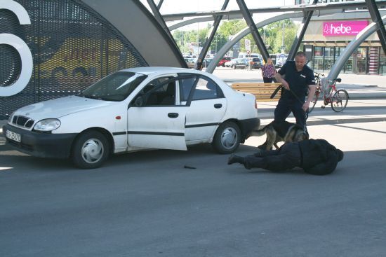"Łap bandziora" - szkolenie psów policyjnych