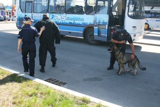 "Łap bandziora" - szkolenie psów policyjnych