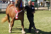 Zielona Gala w Szepietowie