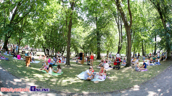 Śniadanie mistrzów