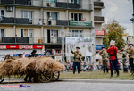 Inscenizacja walk z okresu wojny polsko-bolszewickiej 1920 roku