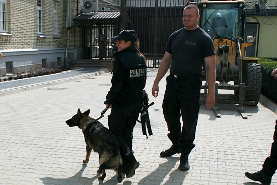 Ćwiczenia psów specjalnych w areszcie śledczym