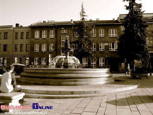 Co nas łączy, co nas różni? Białystok w oczach obcokrajówców - Podobieństwa