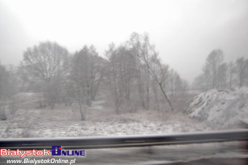 Co nas łączy, co nas różni? Białystok w oczach obcokrajówców - Różnice