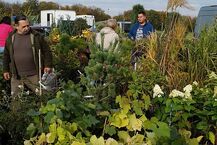 Targi Ogrodnicze "Jesień w sadzie i ogrodzie"