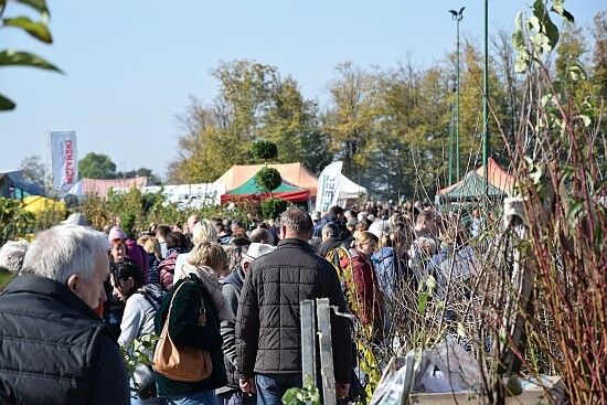 Targi Ogrodnicze "Jesień w sadzie i ogrodzie"