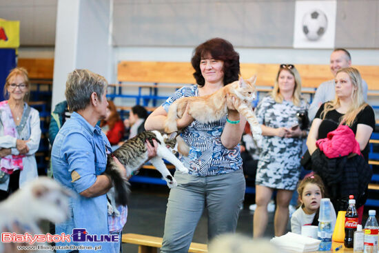 Międzynarodowa Wystawa Kotów