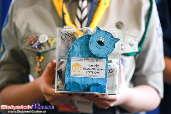 Międzynarodowa Wystawa Kotów