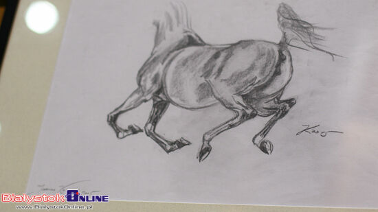 Anna Wyszkoni. Koncert Charytatywny