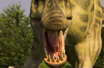 Spacer po Jurajskim Parku Dinozaurów