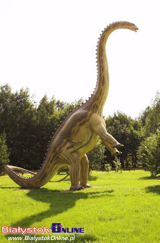 Spacer po Jurajskim Parku Dinozaurów