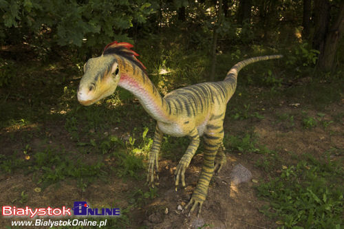 Spacer po Jurajskim Parku Dinozaurów