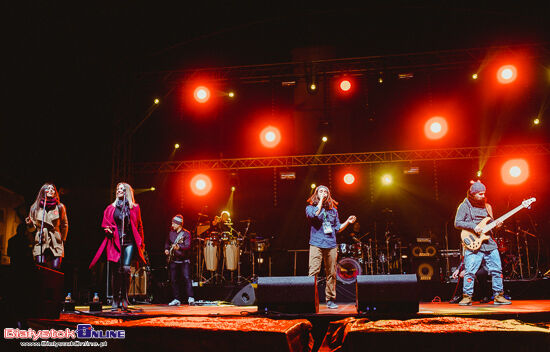 Wielka Orkiestra Świątecznej Pomocy