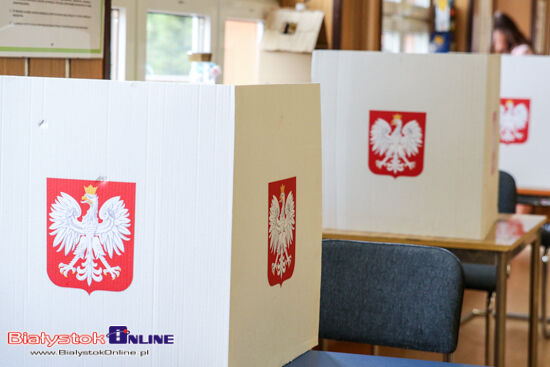 Wybory do Parlamentu Europejskiego