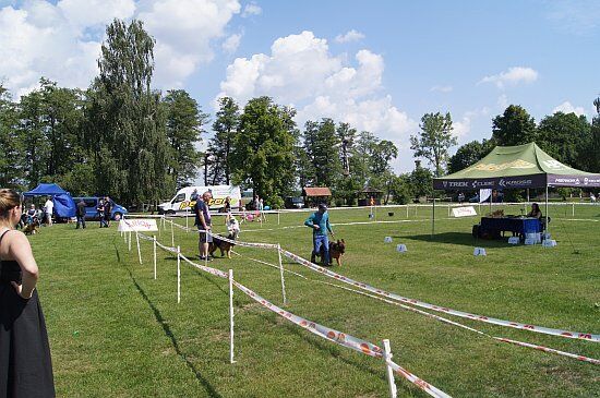 I Krajowa Wystawa Psów Rasowych Polskiej Federacji Kynologicznej