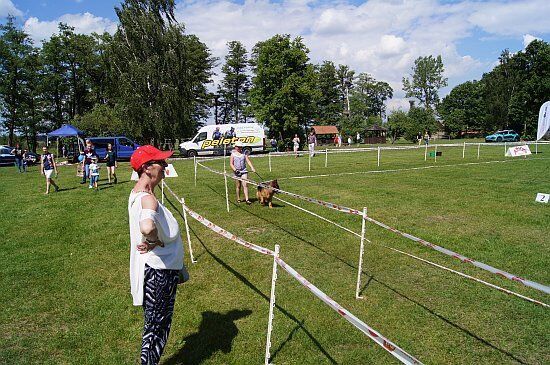 I Krajowa Wystawa Psów Rasowych Polskiej Federacji Kynologicznej