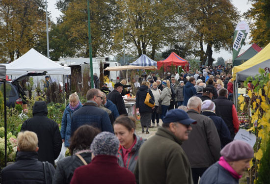 Jesienne Targi Ogrodnicze "Jesień w Sadzie i Ogrodzie" i Targi Leśne