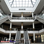 Galeria Alfa. Dwa tygodnie przed otwarciem