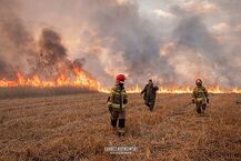 Pożar w Biebrzańskim Parku Narodowym