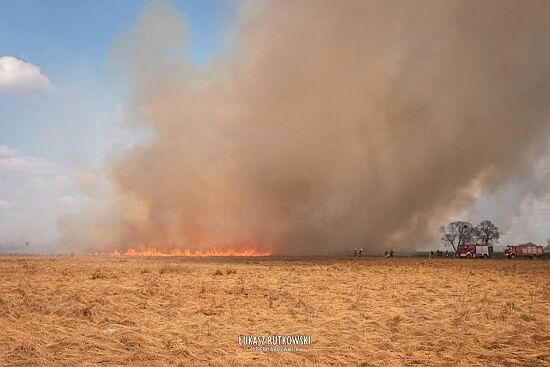 Pożar w Biebrzańskim Parku Narodowym