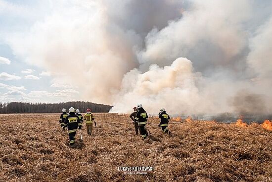 Pożar w Biebrzańskim Parku Narodowym