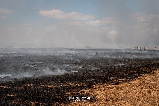 Pożar w Biebrzańskim Parku Narodowym