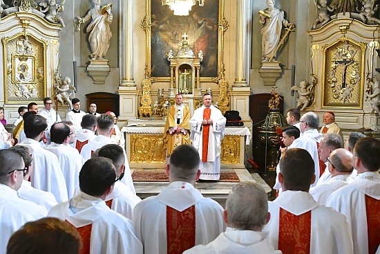 Święcenia kapłańskie w Archikatedrze