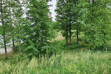 Cmentarzysko w Białogórach