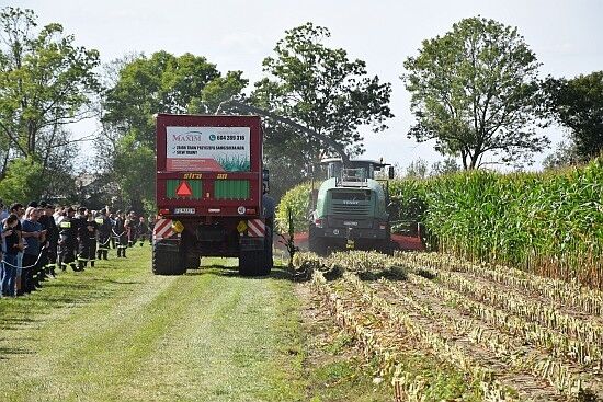 Podlaski Dzień Kukurydzy