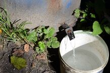 Likwidacja leśnej bimbrowni
