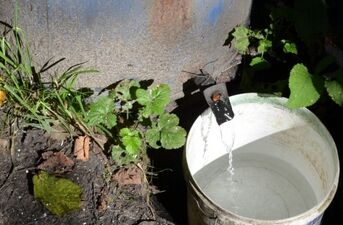 Likwidacja leśnej bimbrowni