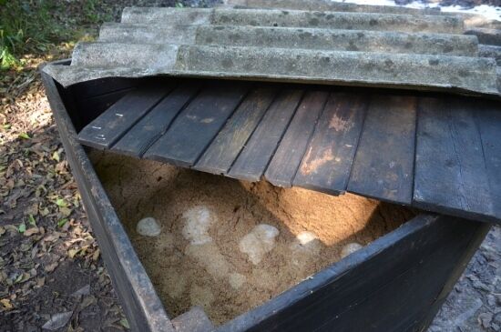 Likwidacja leśnej bimbrowni