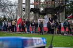 Protest antycovidowców