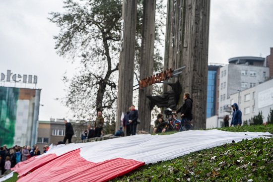 Protest antycovidowców