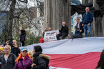 Protest antycovidowców