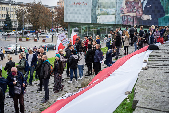 Protest antycovidowców