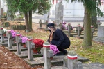 2020.11.10 - Setki chryzantem na cmentarzu wojskowym