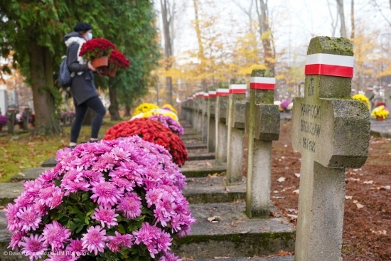 Ustawianie chryzantem na cmentarzu wojskowym
