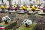 Zastępca prezydenta Białegostoku złożył wieniec na cmentarzu wojskowym