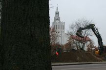 Al. Tysiąclecia. Rozpoczęto wycinkę drzew i rozbudowę