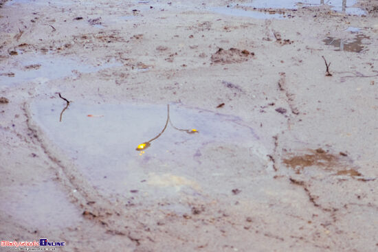 Otwarcie węzła Porosły