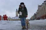 2021.01.31 - Finał Wielkiej Orkiestry Świątecznej Pomocy