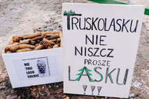 Powitanie wiosny w lesie Solnickim