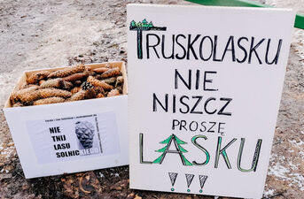 Powitanie wiosny w lesie Solnickim