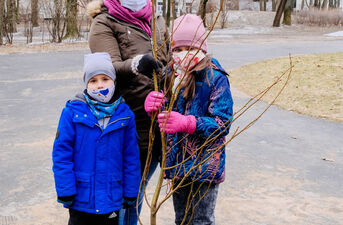Białystok się zieleni. Rozdawanie drzew