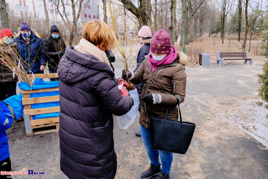 Białystok się zieleni. Rozdawanie drzew