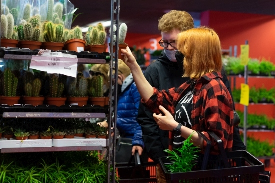 Festiwal roślin