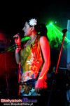 Koncert Miloopa