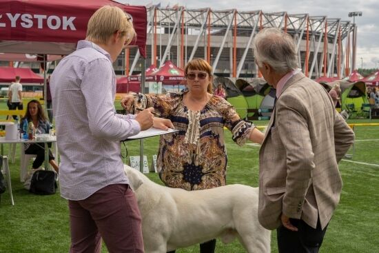 XIV Międzynarodowa Wystawa Psów Rasowych 